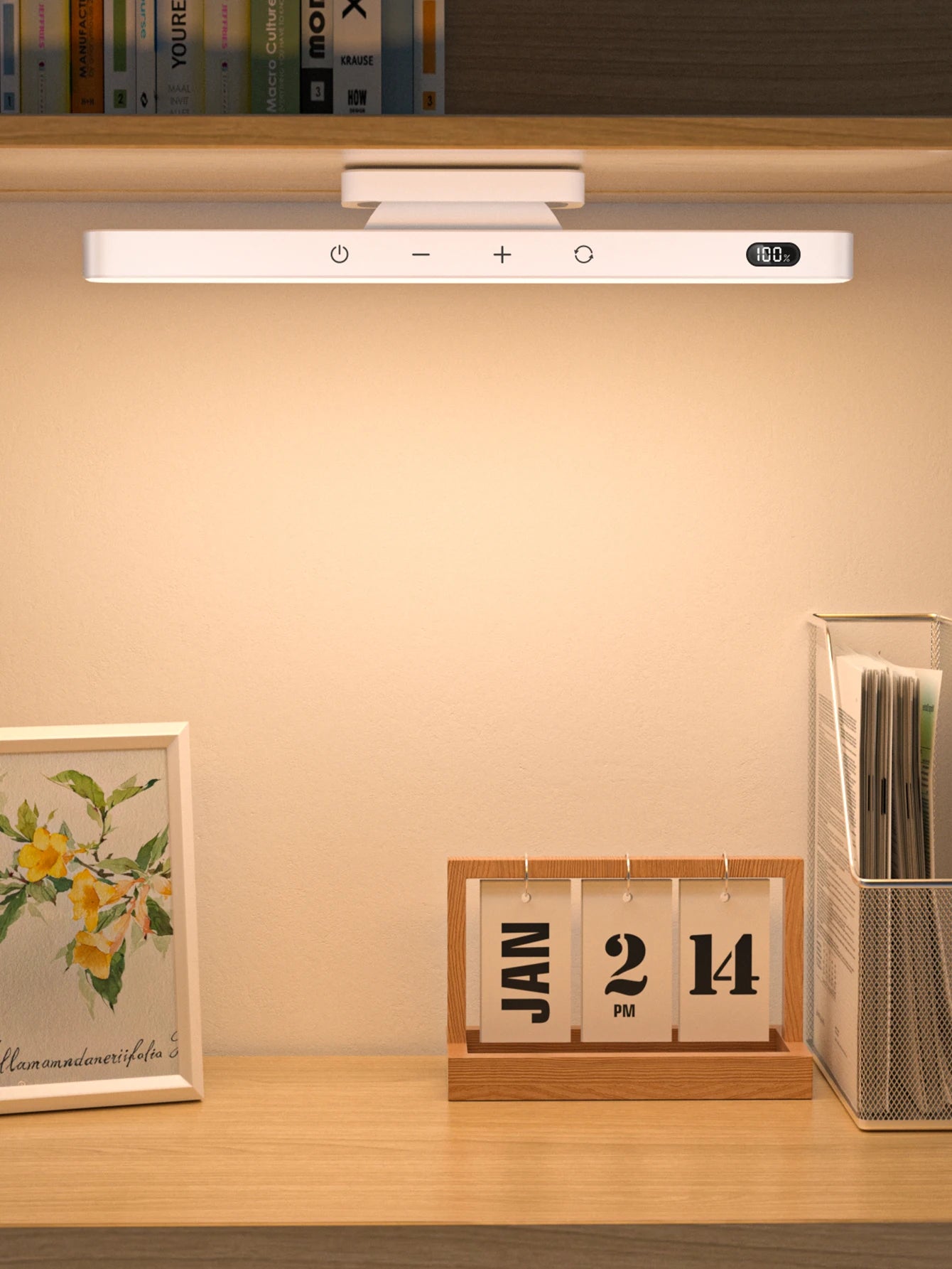 The Magnetic Light