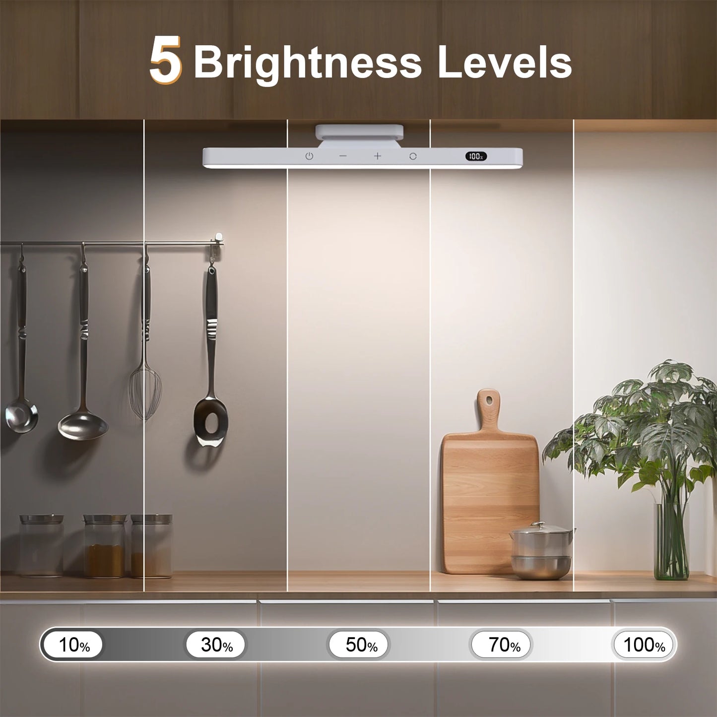 The Magnetic Light
