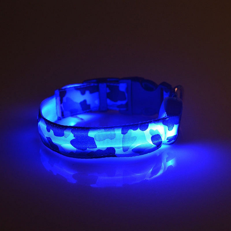 The LightCollar X The Paws Mall - lightstrips