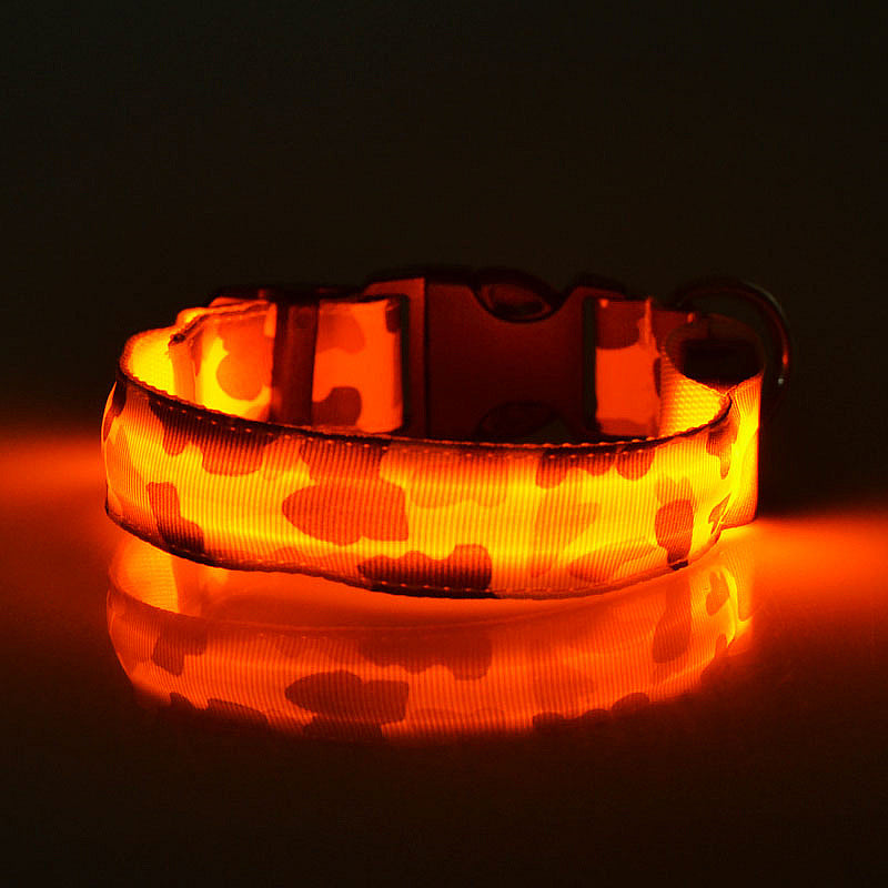 The LightCollar X The Paws Mall - lightstrips