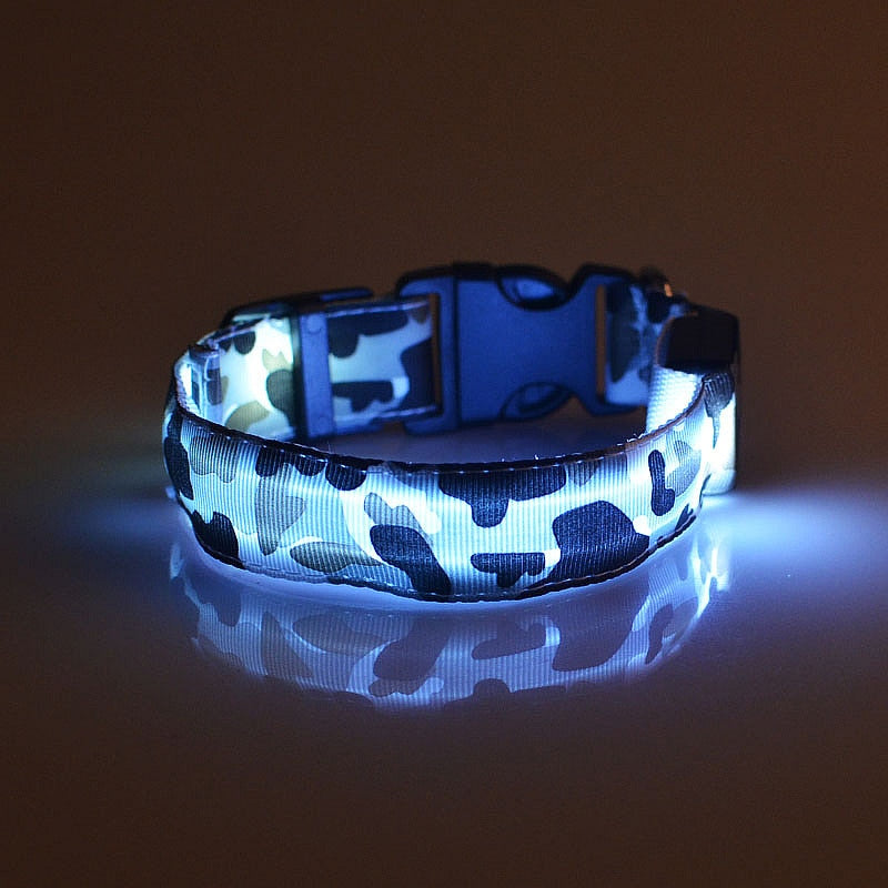 The LightCollar X The Paws Mall - lightstrips